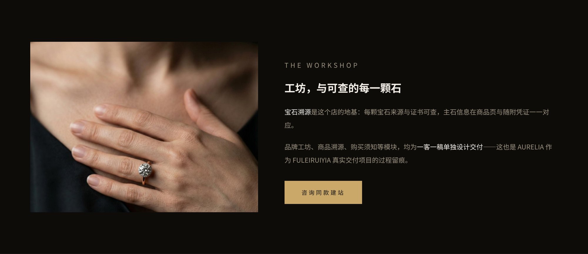 真实交付案例：AURELIA独立站品牌工坊区块真实渲染截图