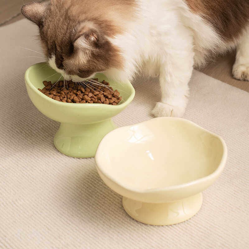 布偶猫正在使用的抹茶绿与奶白陶瓷高脚双碗